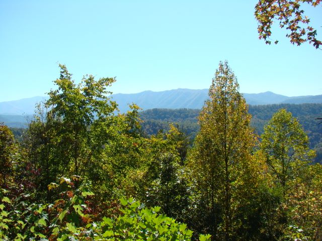 Foothills Parkway View