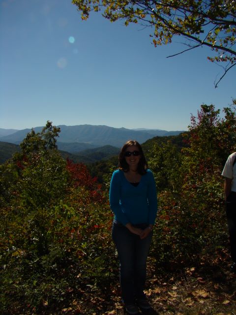 Brooke at the Foothills Parkway new section