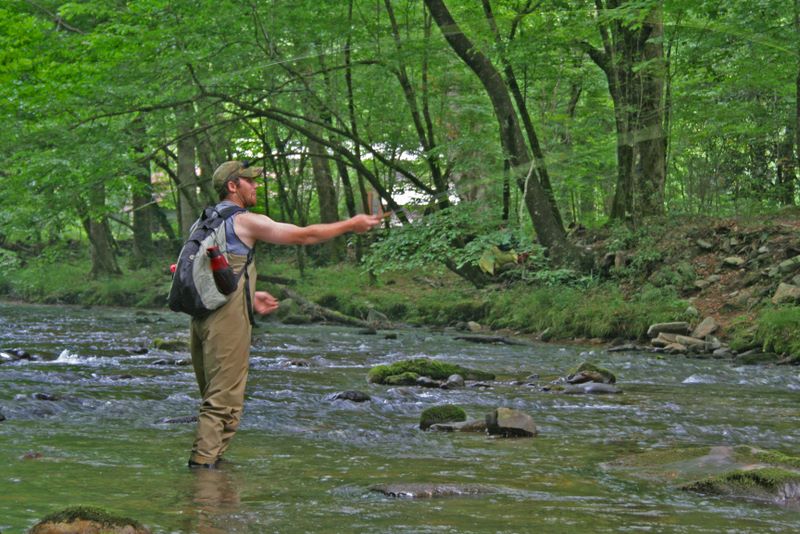 Jay Fradd Fly Fishing at Cataloochee Creek in North Carolina