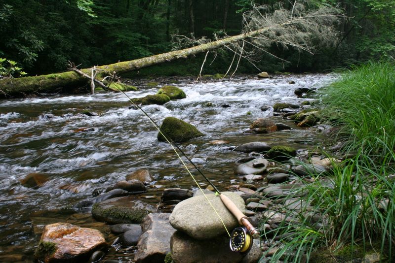 Fly Fishing on Abrams Creek in the Great Smoky Mountains National Park