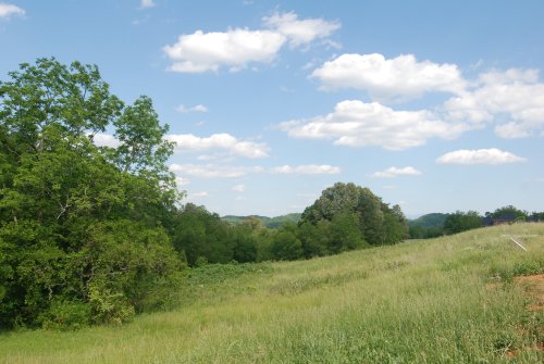 Land in Majestic Meadows - Boyds Creek TN area real estate and homes for sale