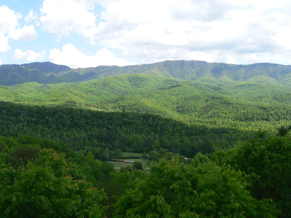Views From Cobbly Nob include the Great Smoky Mountains National Park and Bent Creek Golf Course - Designed by Gary Player. Cobbly Nobb is within minutes to Gatlinburg and located adjacent to Pittman Center, TN