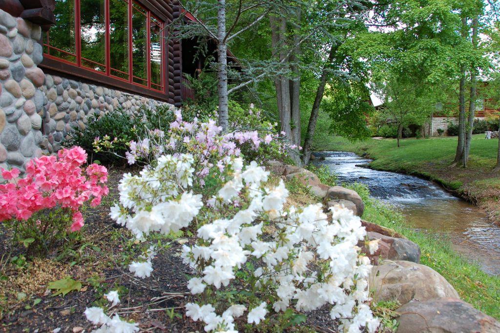 Flowers during May at 2609 Cedar Falls Way - Smoky Mountain Cabin on Creek in Pigeon Forge