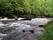 Lot #16 Riversong Estates. Prime river frontage on the Little Pigeon River in the Smoky Mountains near Gatlinburg, TN