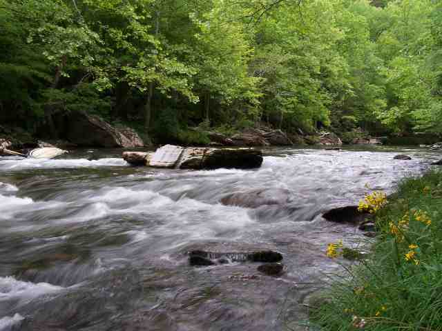 Middle Prong of the Little Pigeon River - Lot #16 Riversong Estates