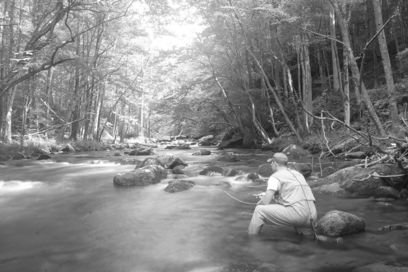 Jay Fradd fly fishing in the Smoky Mountains on the Little River