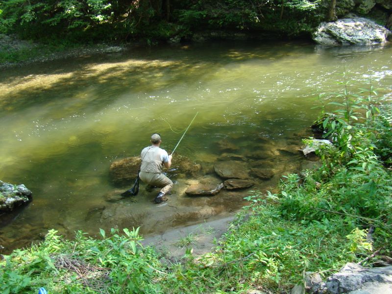 Jay Fradd fly fishing the Little River in the Smoky Mountains