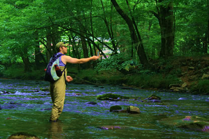 Jay Fradd fishing in the Great Smoky Mountains National Park
