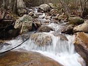 Creek Frontage on Bogard Creek - Land for sale in Cosby, TN - Great Smoky Mountains