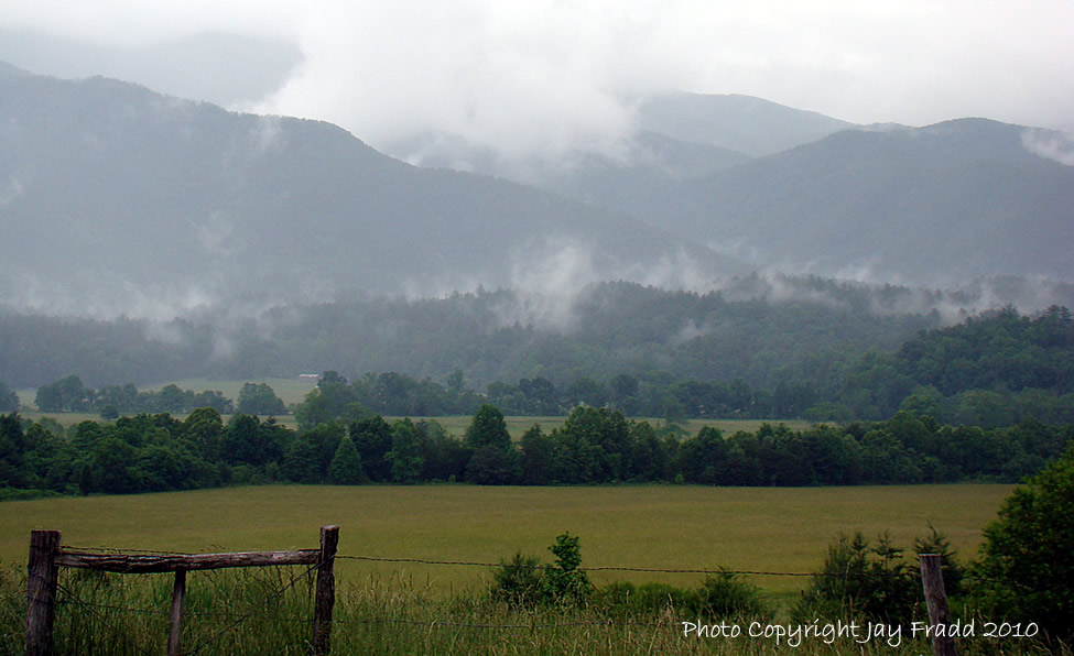 Cades Cove - Great Smoky Mountains National Park - May 31, 2010 - Photo copyright - Jay Fradd